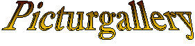 Picturgallery